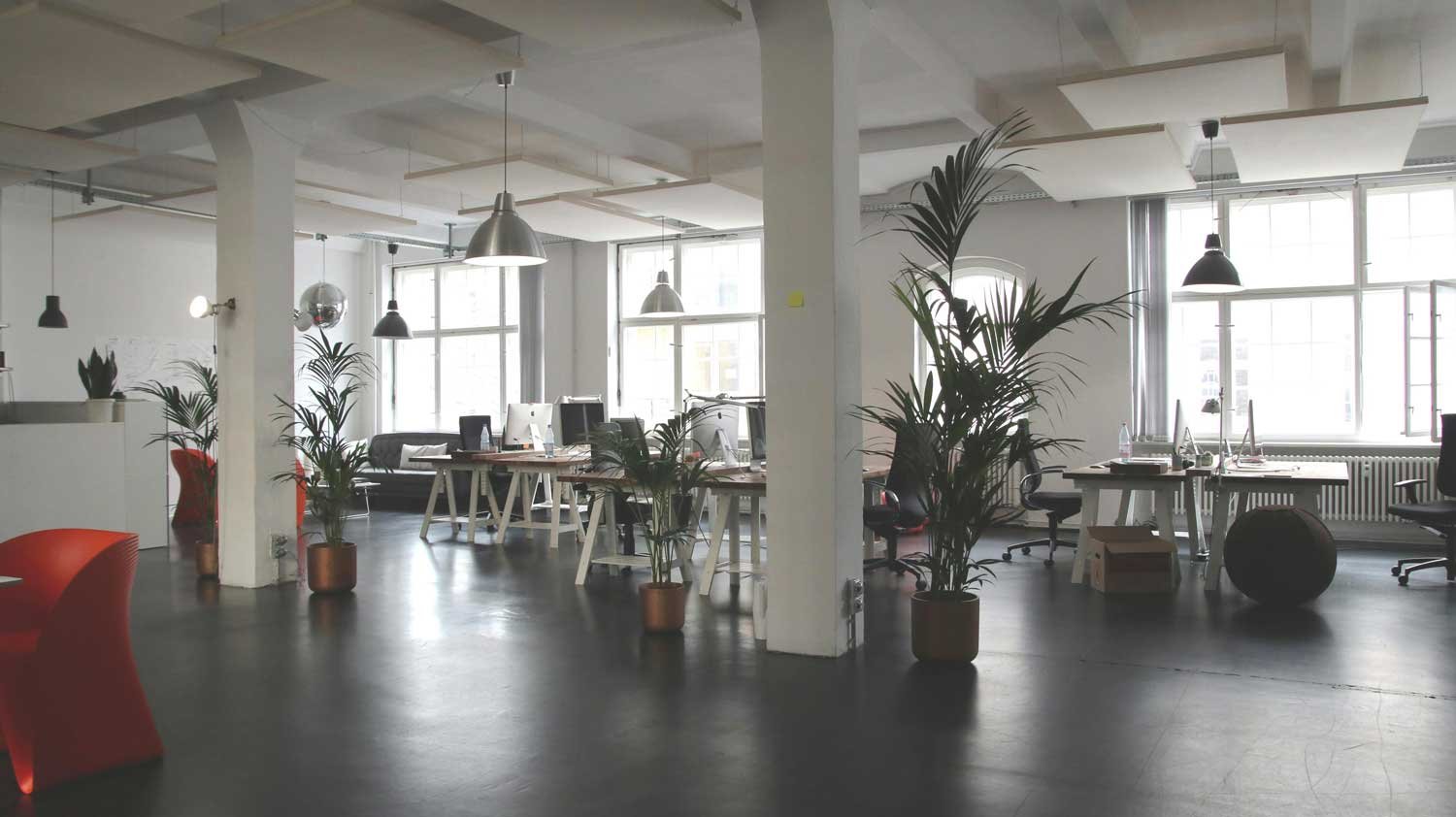 Bright office interior with workspaces and plants