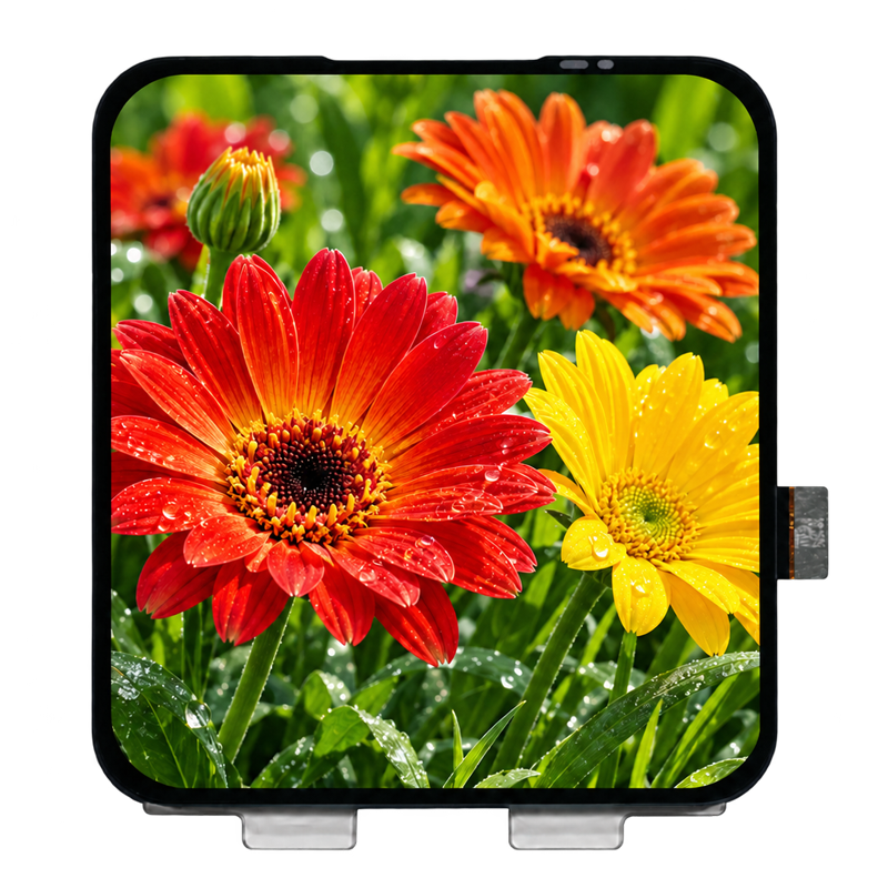 AMOLED Displays