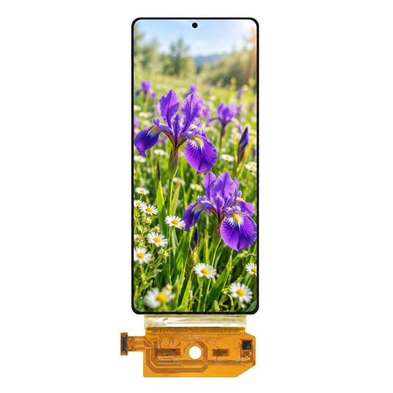 6.67-inch flexible AMOLED display module