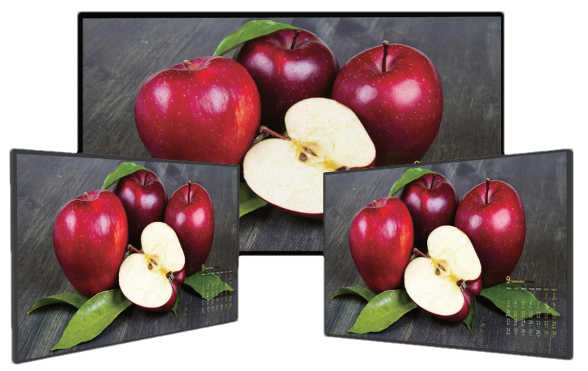 Open Frame High Brightness Monitors