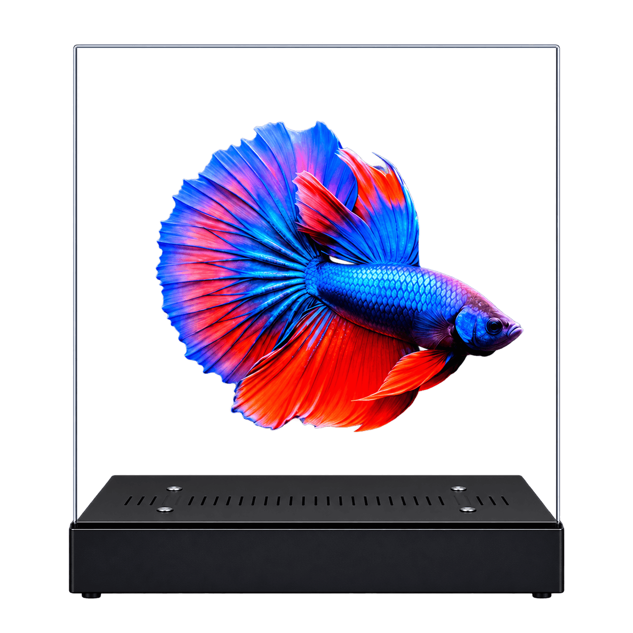 20-Inch Transparent Micro LED