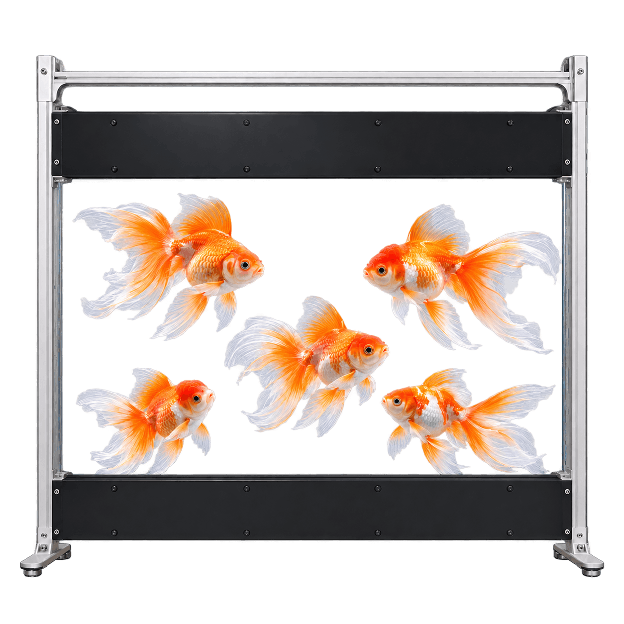 60-Inch Transparent Micro LED