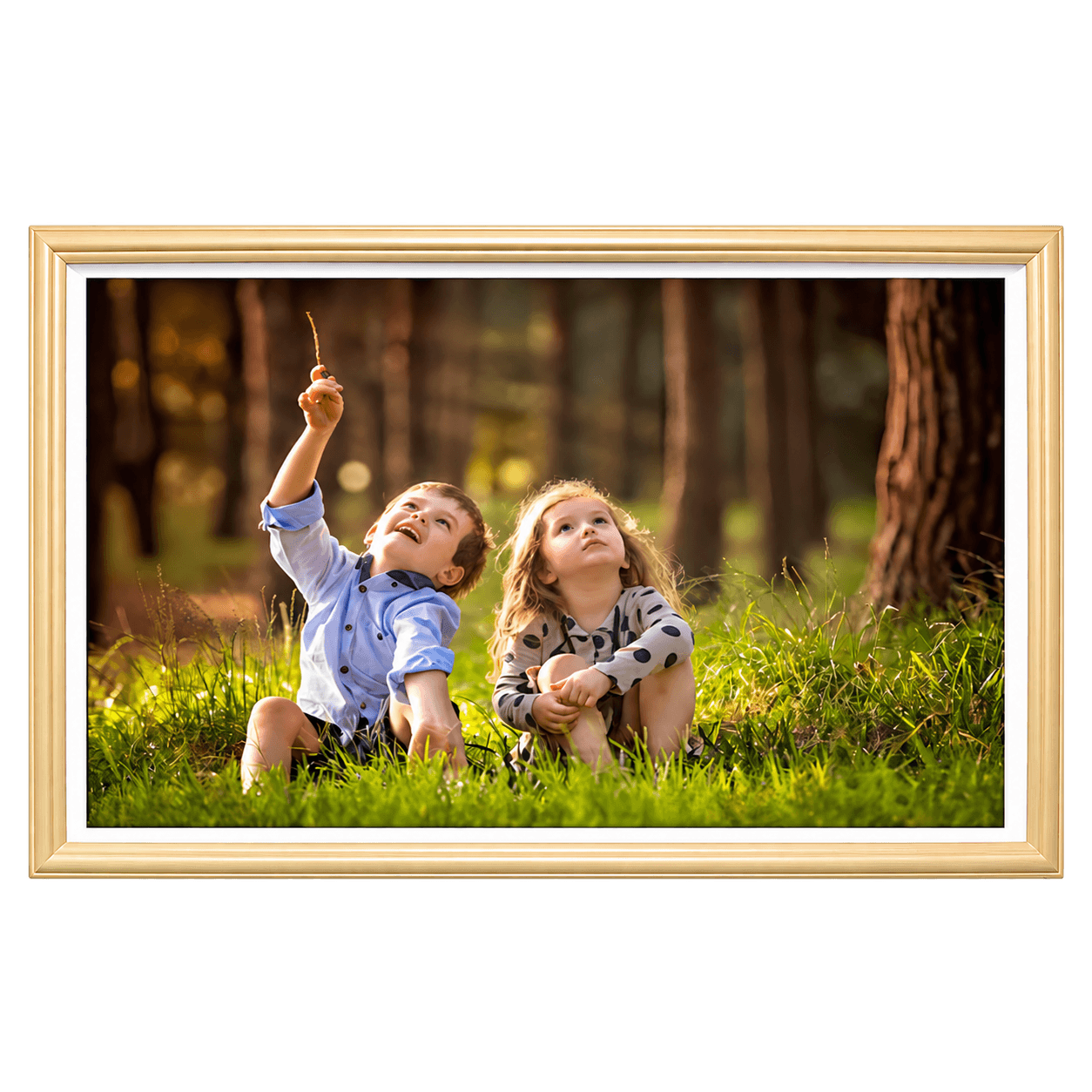 LCD Digital Art Frames