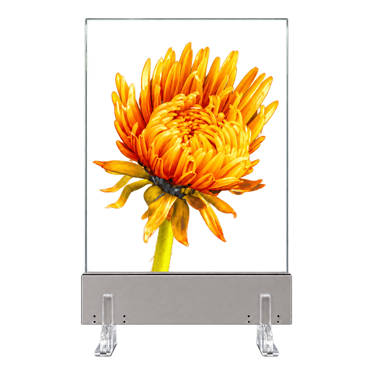 Transparent Micro LED Displays