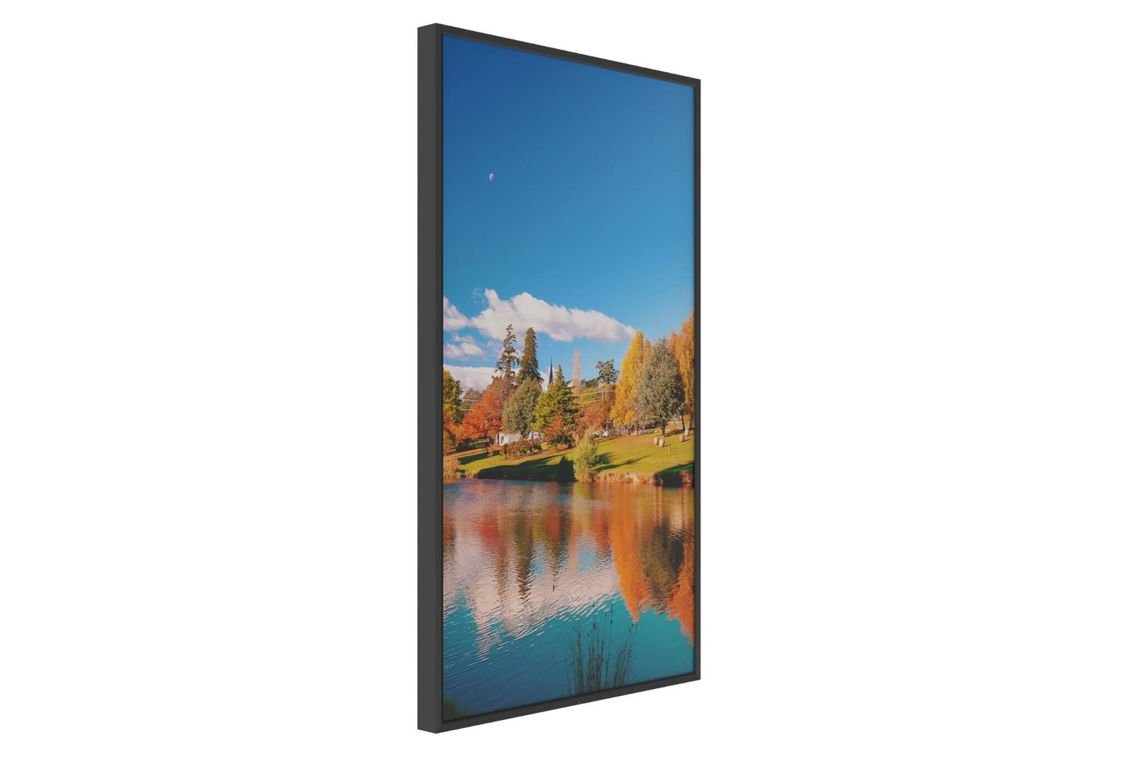 Single-Sided Display
